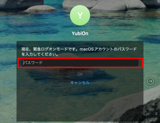 緊急ログオンモードのパスワード入力欄