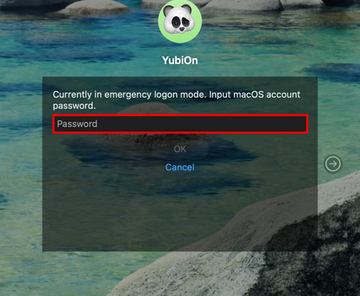 Password entry field in emergency logon mode