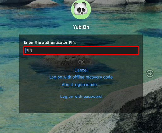 Enter the PIN of the authenticator