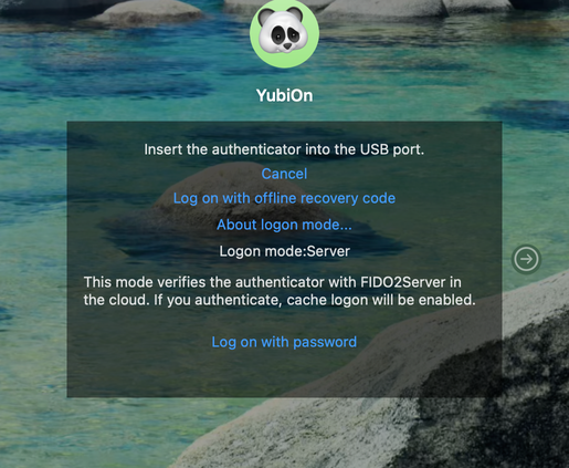 Server mode