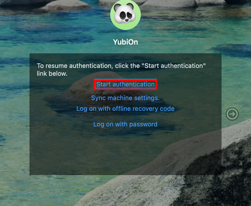 Click Start authentication