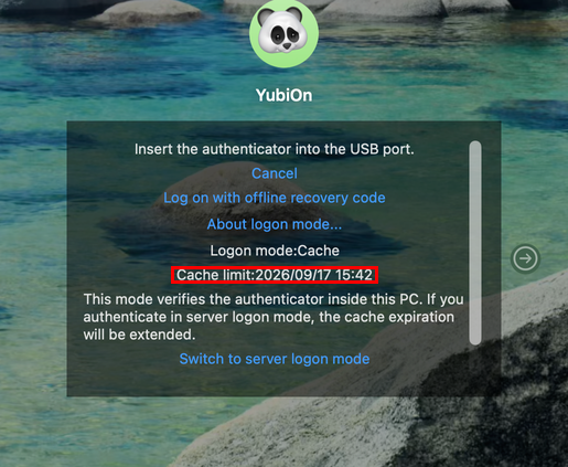 The cache expiration is displayed