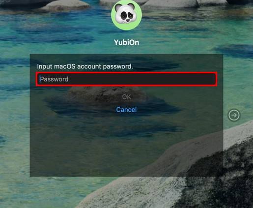 Enter the password of the macOS account