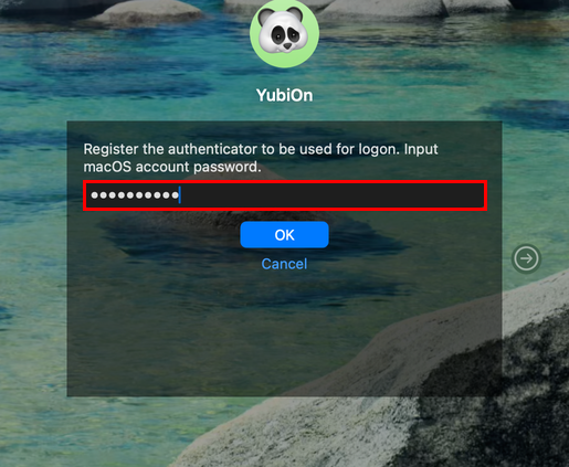 Enter the password of the macOS account
