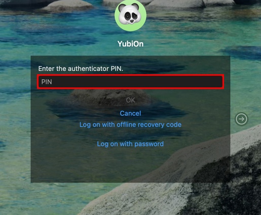 Enter the PIN