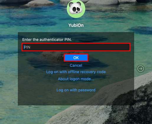 Enter the PIN of the authenticator